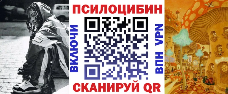 Галлюциногенные грибы Cubensis  OMG tor  Хадыженск 
